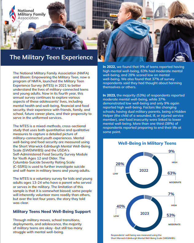 The Military Teen Experience